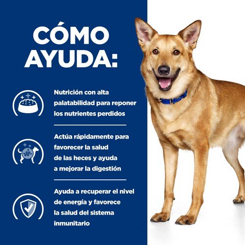 EAN 0052742041780 - Hills 605845 alimento húmedo para perros Pollo, Ternera Universal 4 kg imagen 3