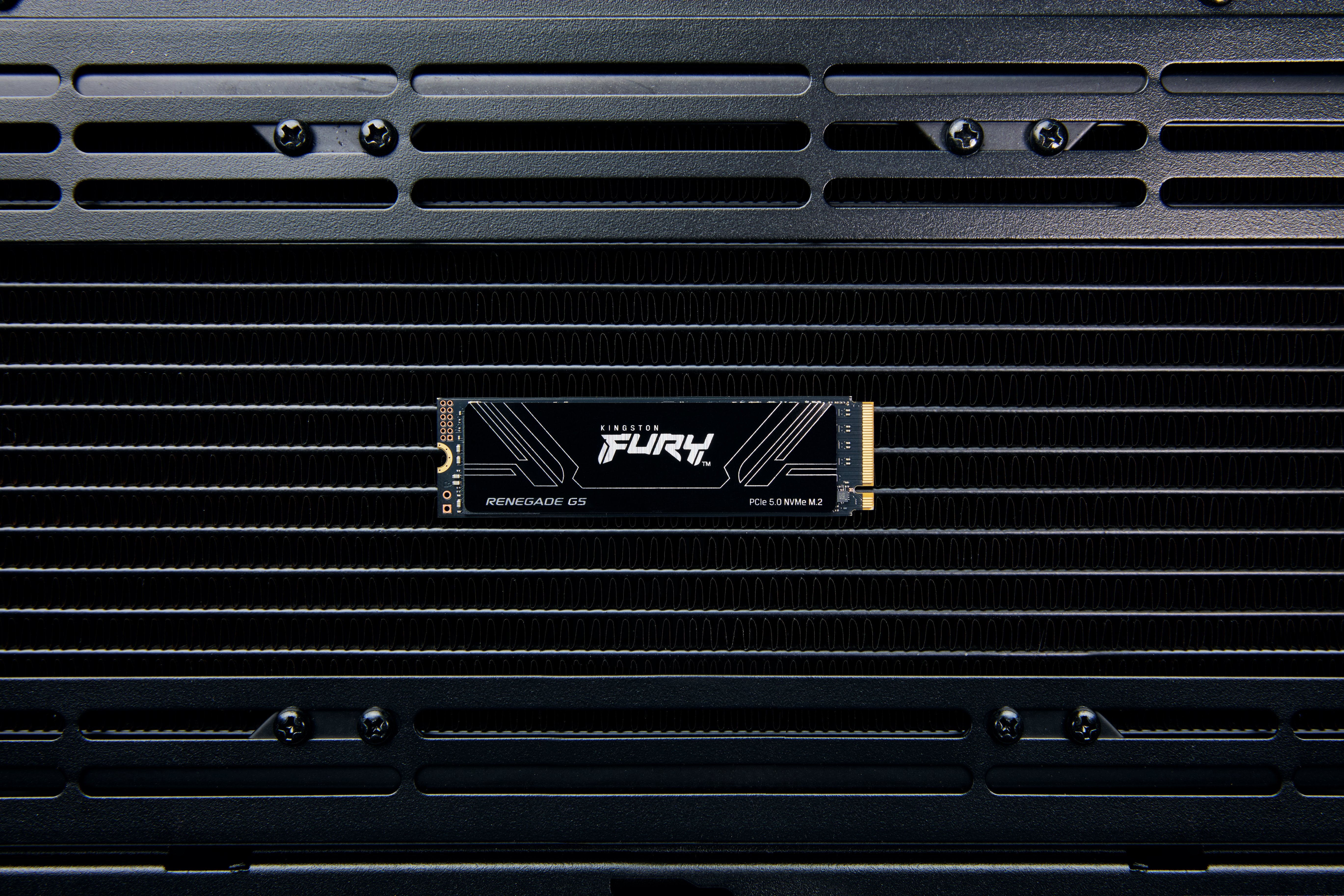 EAN 740617351613 - Kingston Technology FURY Renegade G5 8 TB PCI Express 5.0 3D TLC imagen 7
