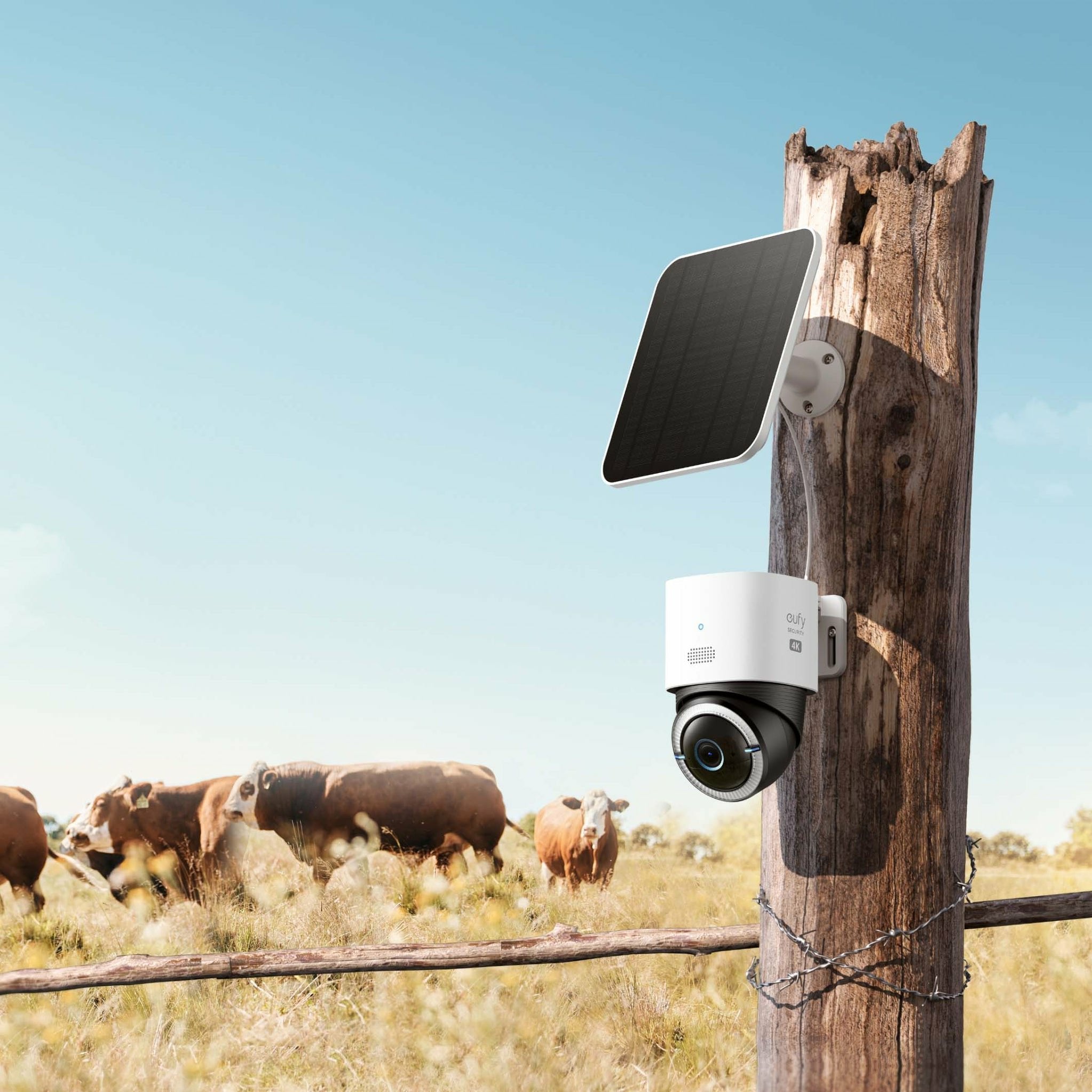 EAN 0194644177768 - Eufy 4G LTE Cam S330 Bala (forma) Cámara de seguridad IP Exterior 3840 x 2160 Pixeles Techo/Pared/Poste imagen 10