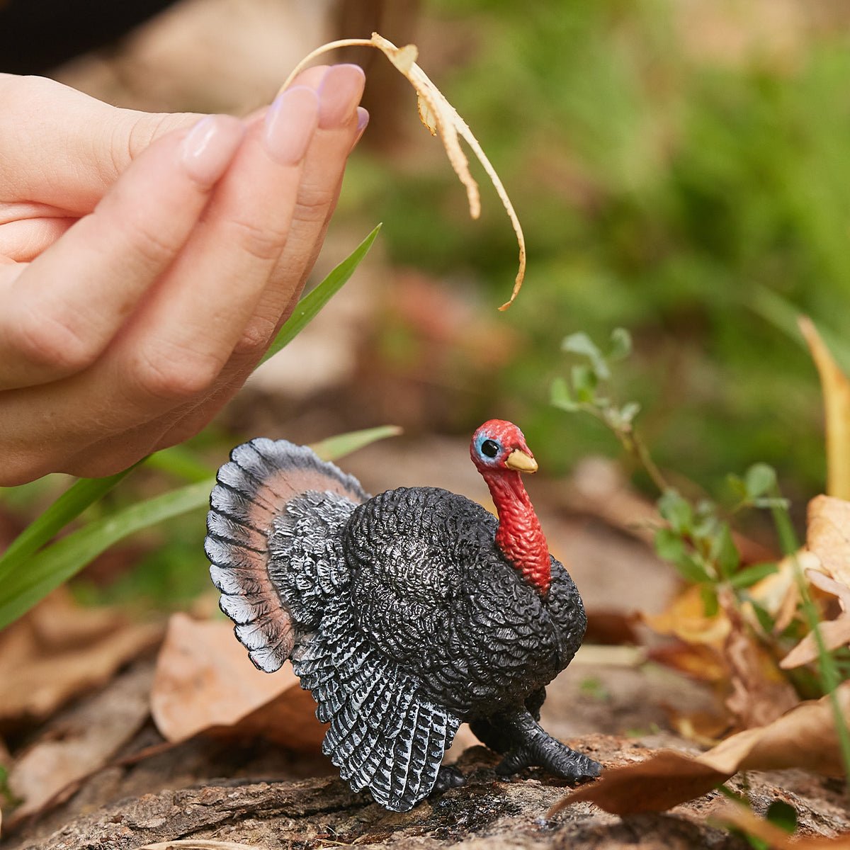 Schleich Farm World 13900 Pavo