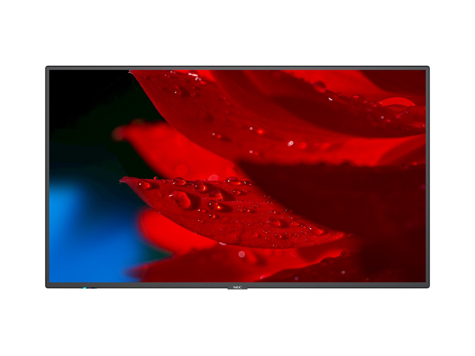 EAN 5028695119352 - NEC MultiSync MA551 Pantalla plana para señalización digital 139,7 cm (55") IPS 500 cd / m² 4K Ultra HD N imagen 1