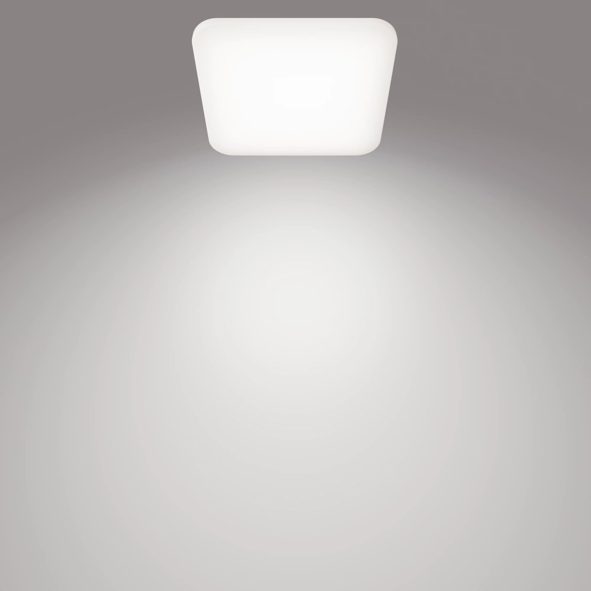 EAN 8720169195516 - Philips Funcional 8720169195516 iluminación de techo LED imagen 2