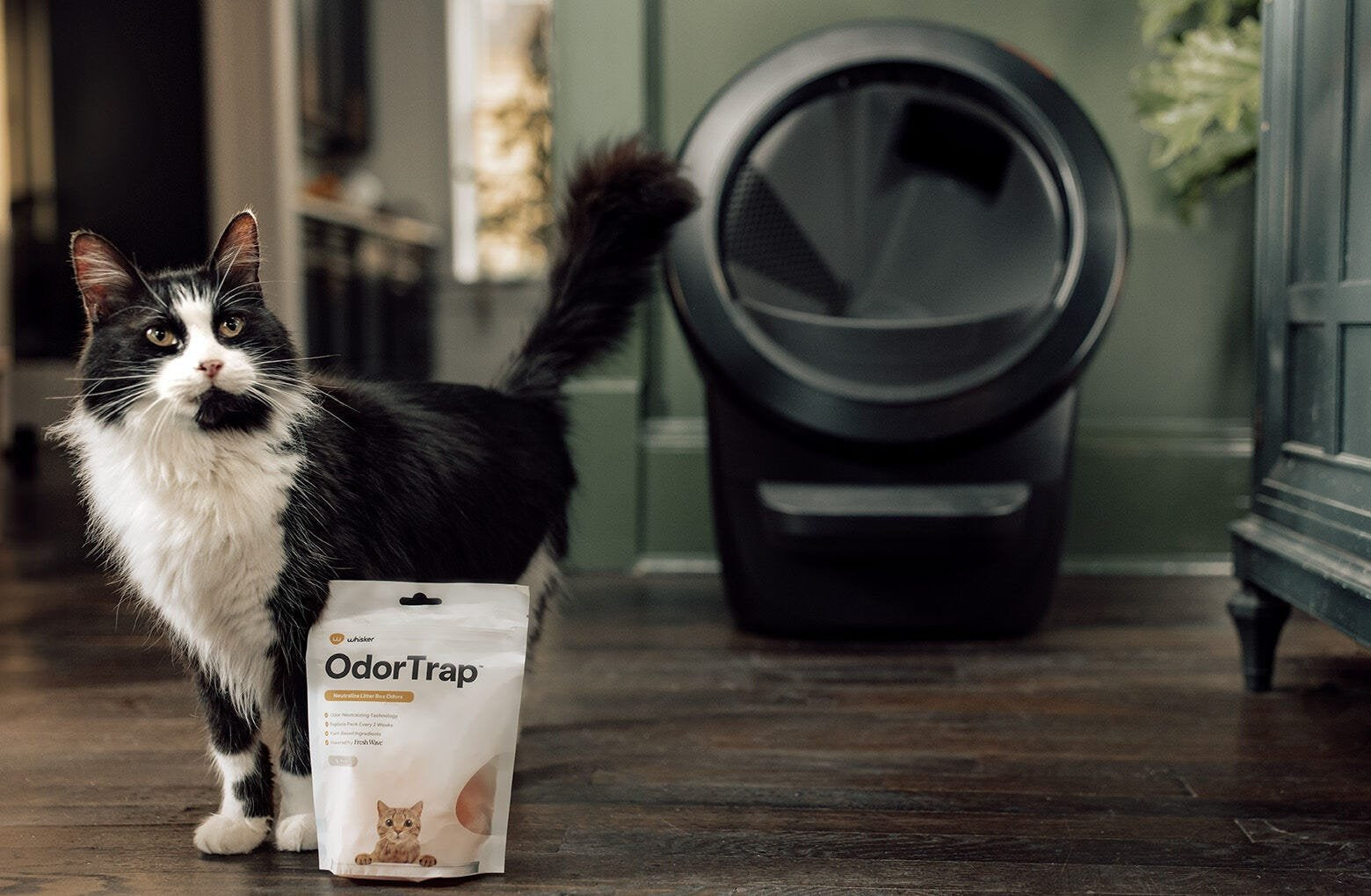 Whisker Odortrap, 6 Pack