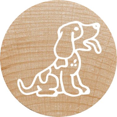 EAN 9004362534488 - Colop 165225 imagen 14