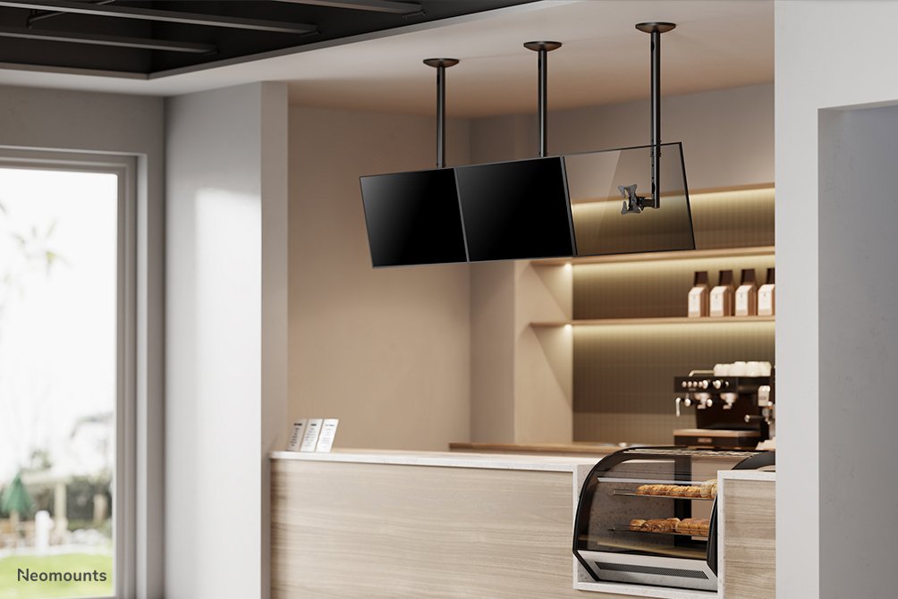 Newstar Soporte De Techo Para Tv 10"-30" Max.20kg Fpma-C050black