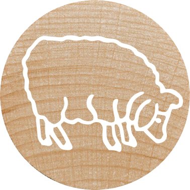 EAN 9004362534488 - Colop 165225 imagen 4