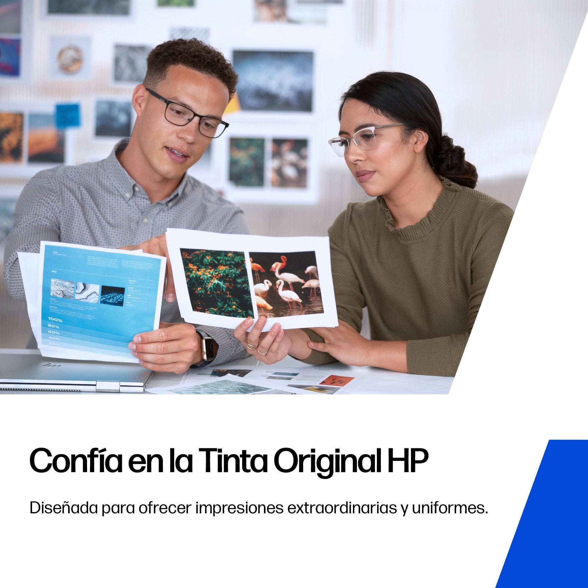 EAN 0199764687203 - HP 303 2-pack Black/Tri-color Original Ink Cartridges cartucho de tinta 2 pieza(s) Rendimiento estándar N imagen 12