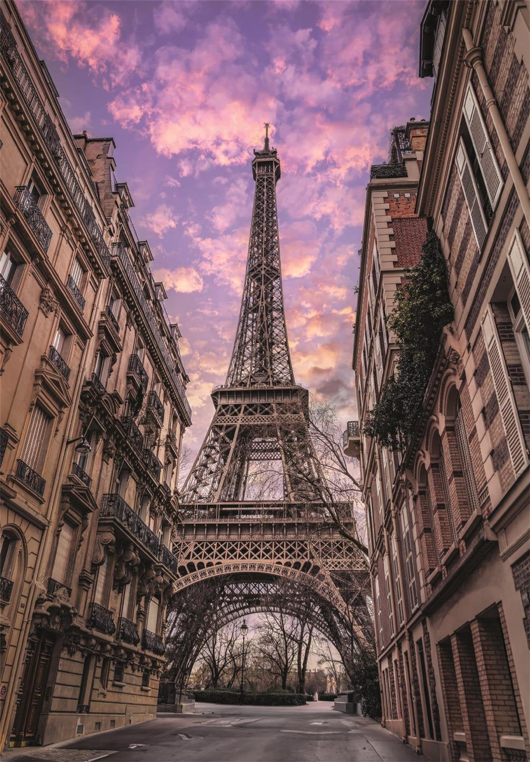 Puzzle Paris Awakens 1500pzs