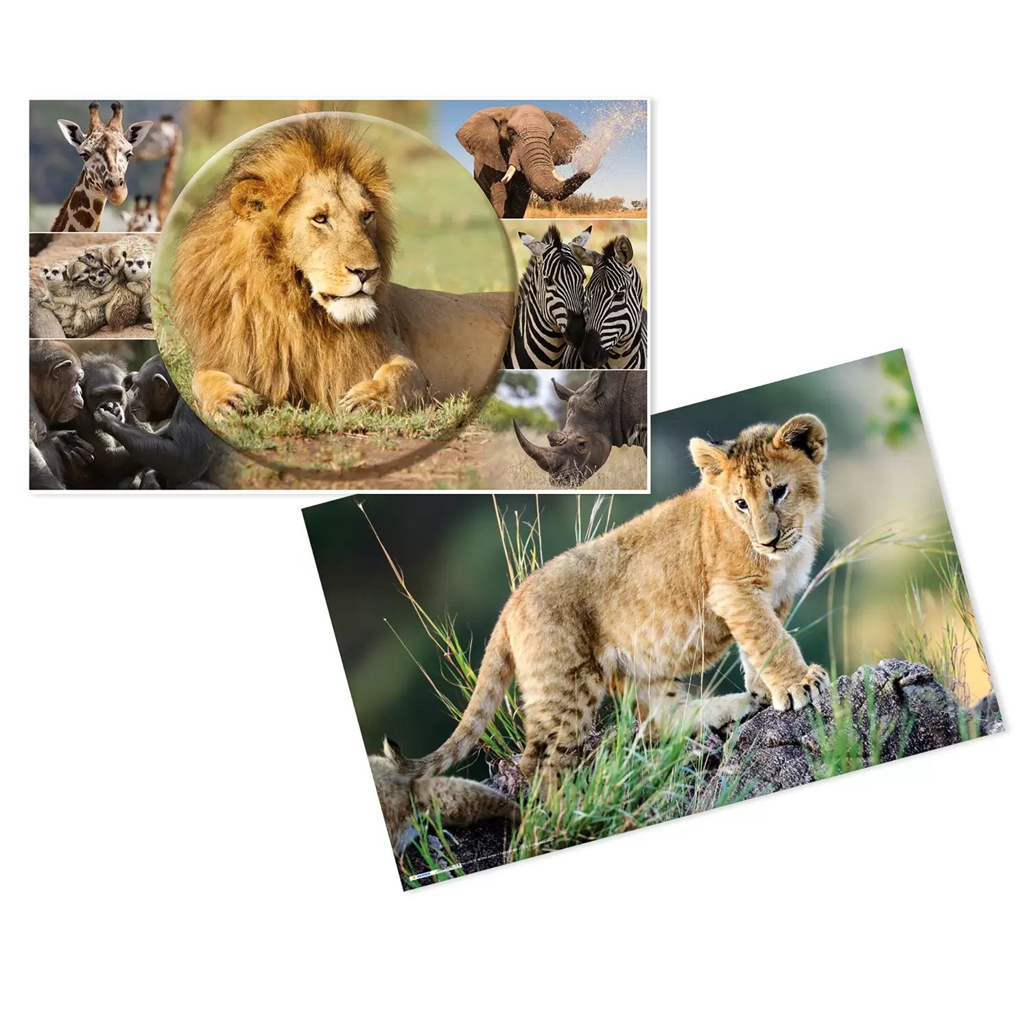EAN 4008705936347 - HERMA Schreibunterlage Afrika Tiere protector de escritorio Cartón Multicolor imagen 1