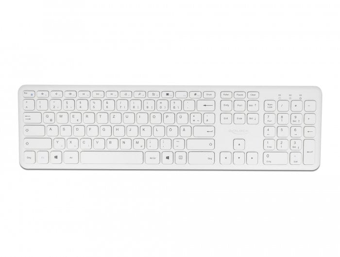 Delock Usb Tastatur Y Raton Set 2,4 Ghz Kabellos Blanco