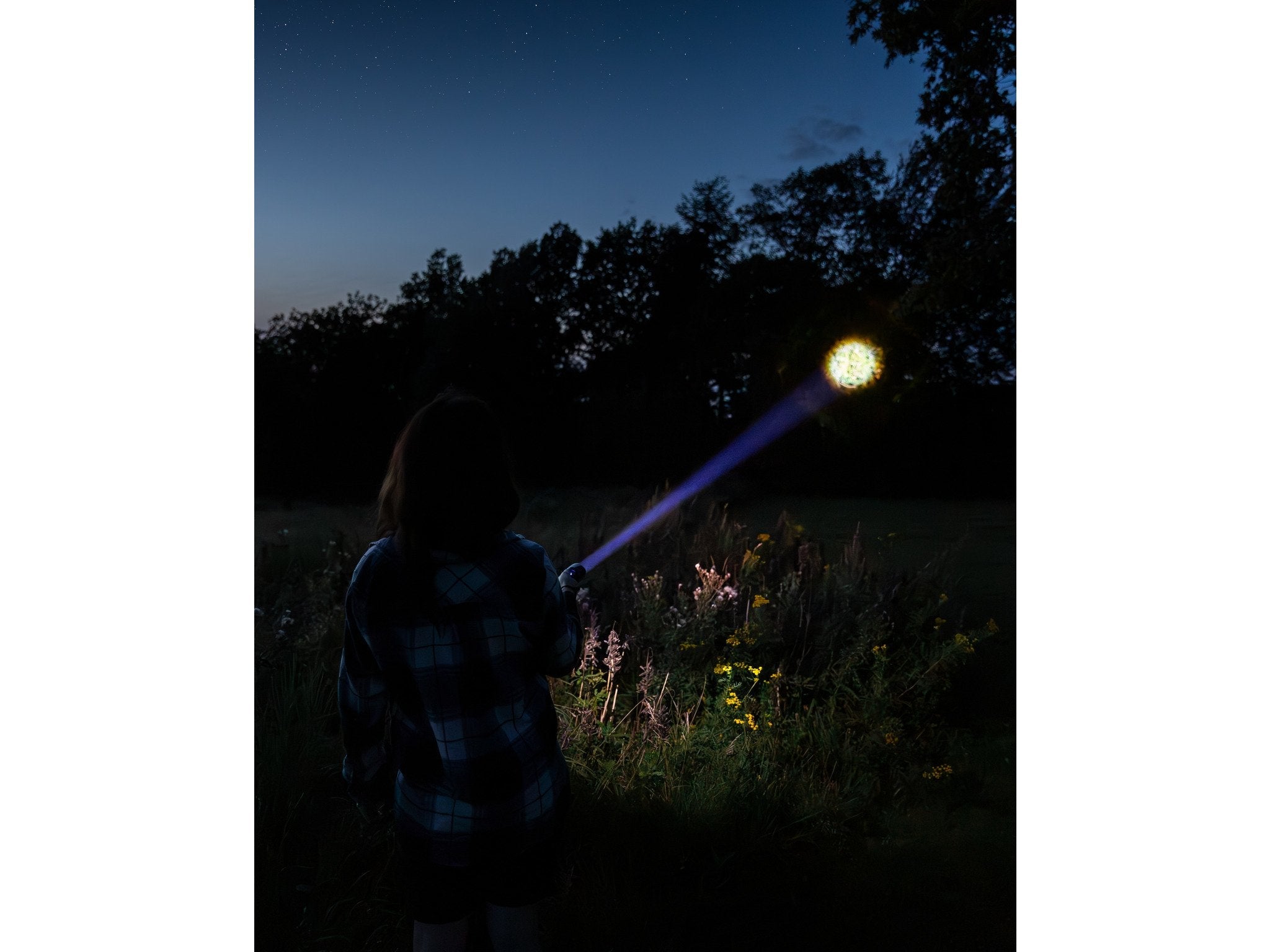 Sandberg Survivor Torch Powerbank 5000 5000 Mah Negro