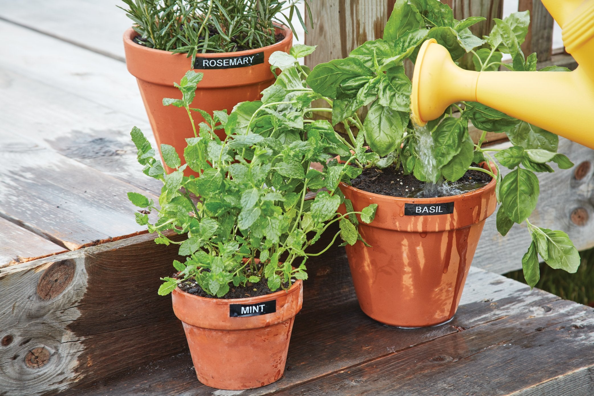 EAN 0302698094492 - DYMO LabelManager 210D™ QWY Kitcase impresora de etiquetas Transferencia térmica 180 x 180 DPI 12 mm/s In imagen 6