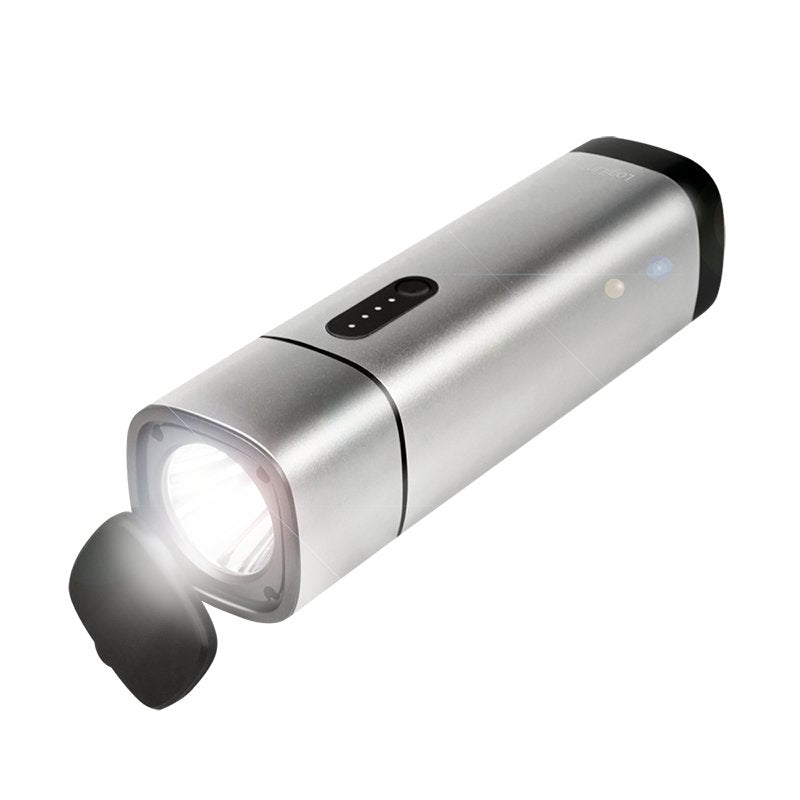 Logilink Powerbank 10000mah 2xusb-A 10w Plata