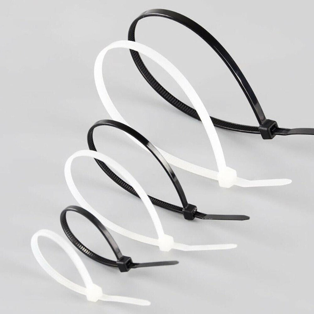 Techly 306356 Bridas Techly Nylon 100 X 2,5 Mm 100 Piezas Negro