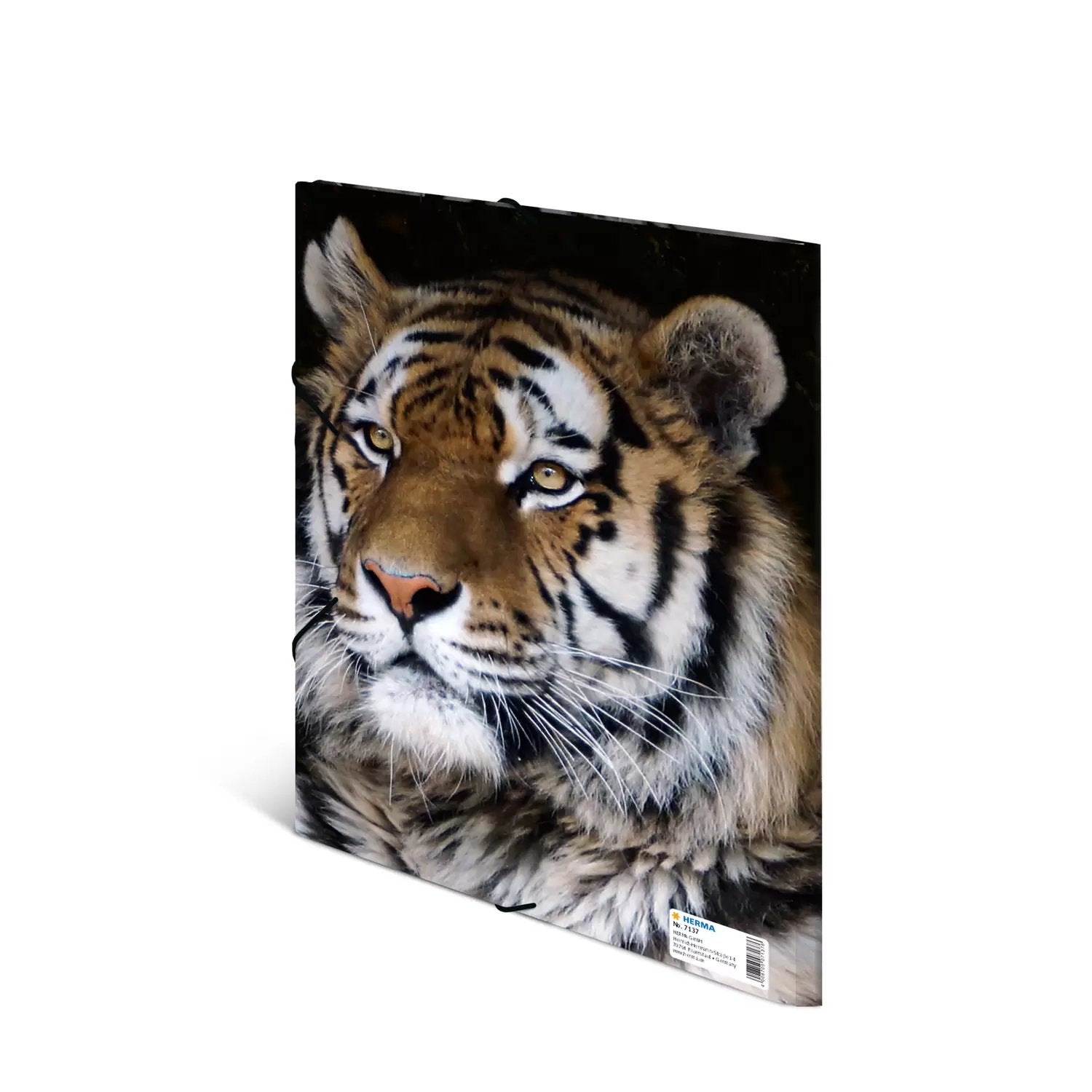 EAN 4008705071376 - HERMA 7137 carpeta Polipropileno (PP) Multicolor A4 imagen 3