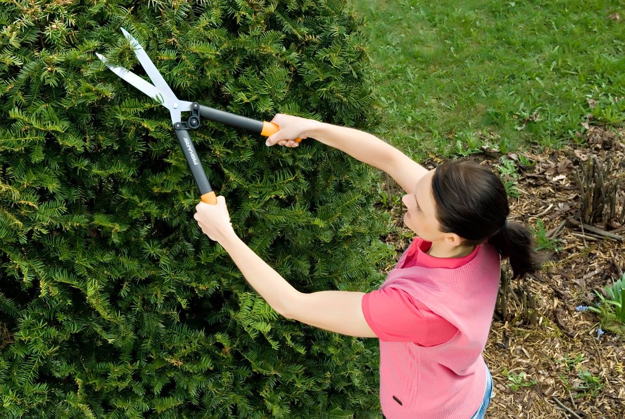 Fiskars 114750 Tijera Y Recortadora De Setos Negro, Naranja