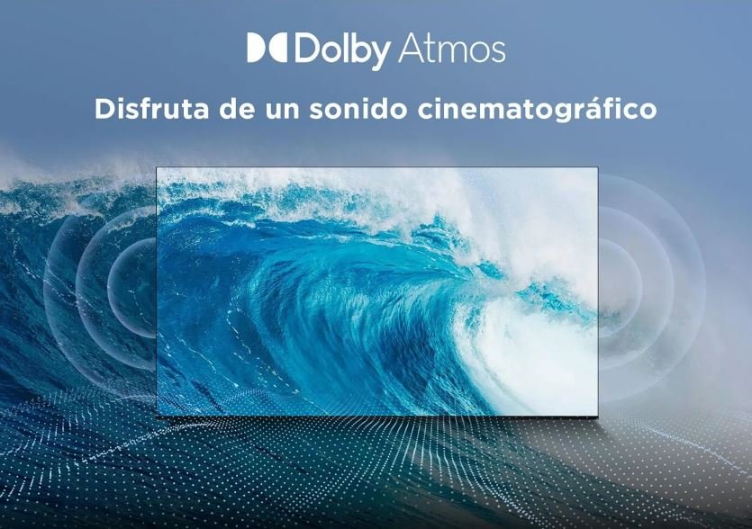 EAN 5901292527044 - TCL P61 55P61K Televisor 139,7 cm (55") 4K Ultra HD Smart TV Wifi Aluminio 270 cd / m² imagen 14