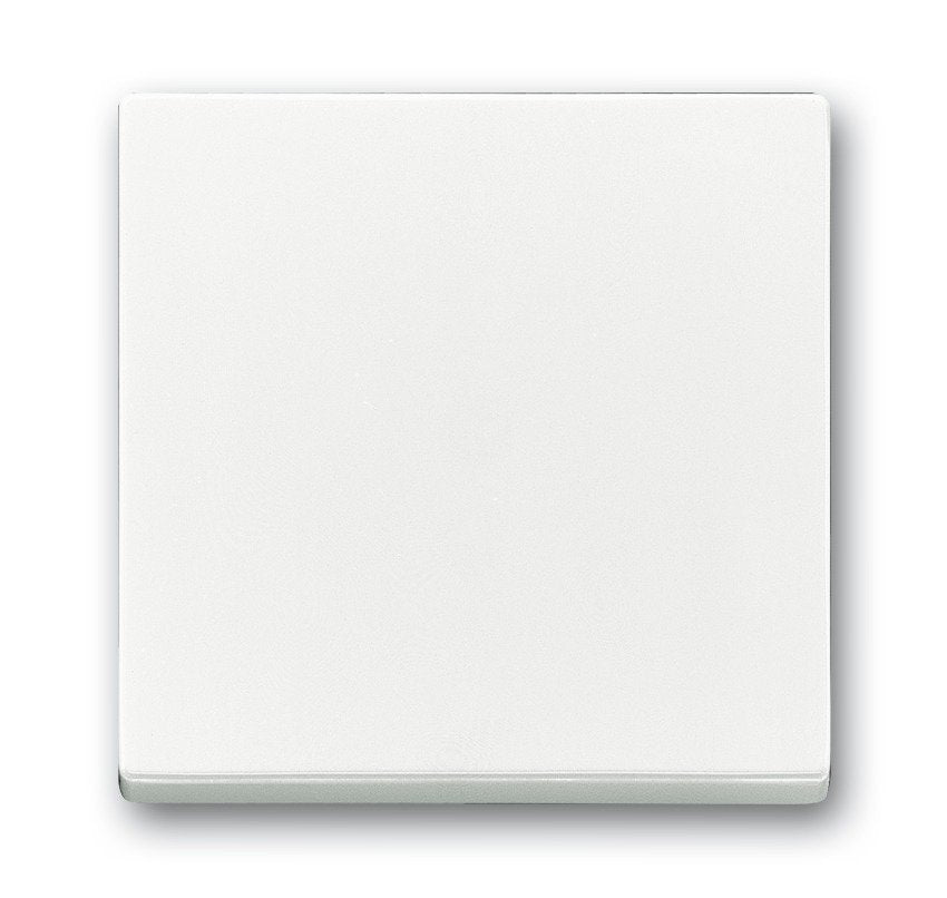 EAN 4011395995839 - Busch-Jaeger 1751-0-2749 protector contra el polvo Blanco imagen 1