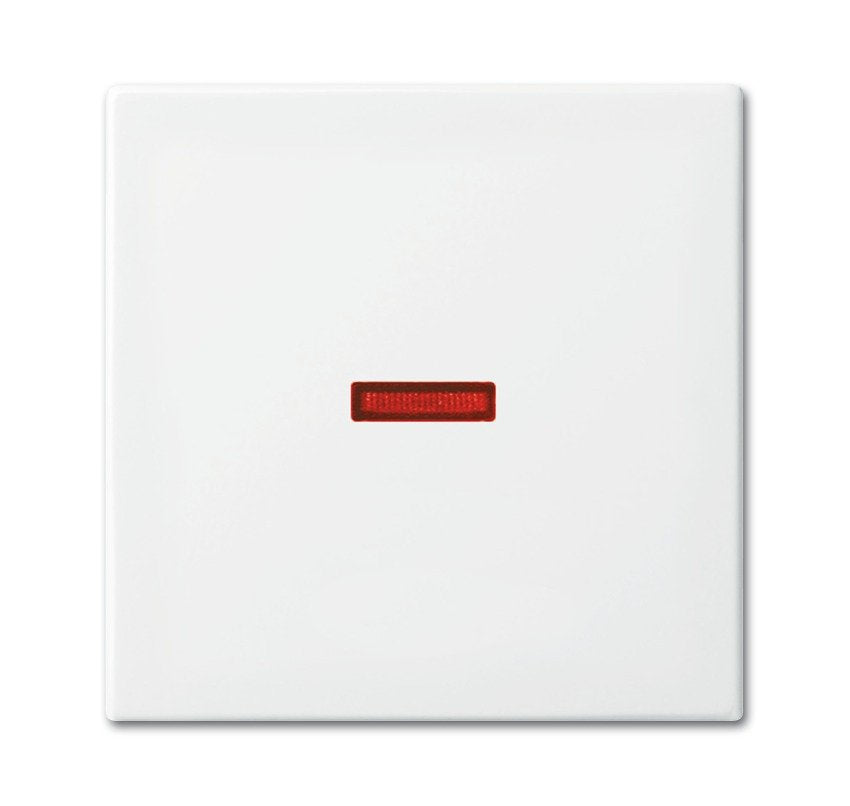 EAN 4011395190470 - Busch-Jaeger 1731-0-2016 placa de pared y cubierta de interruptor Blanco imagen 1