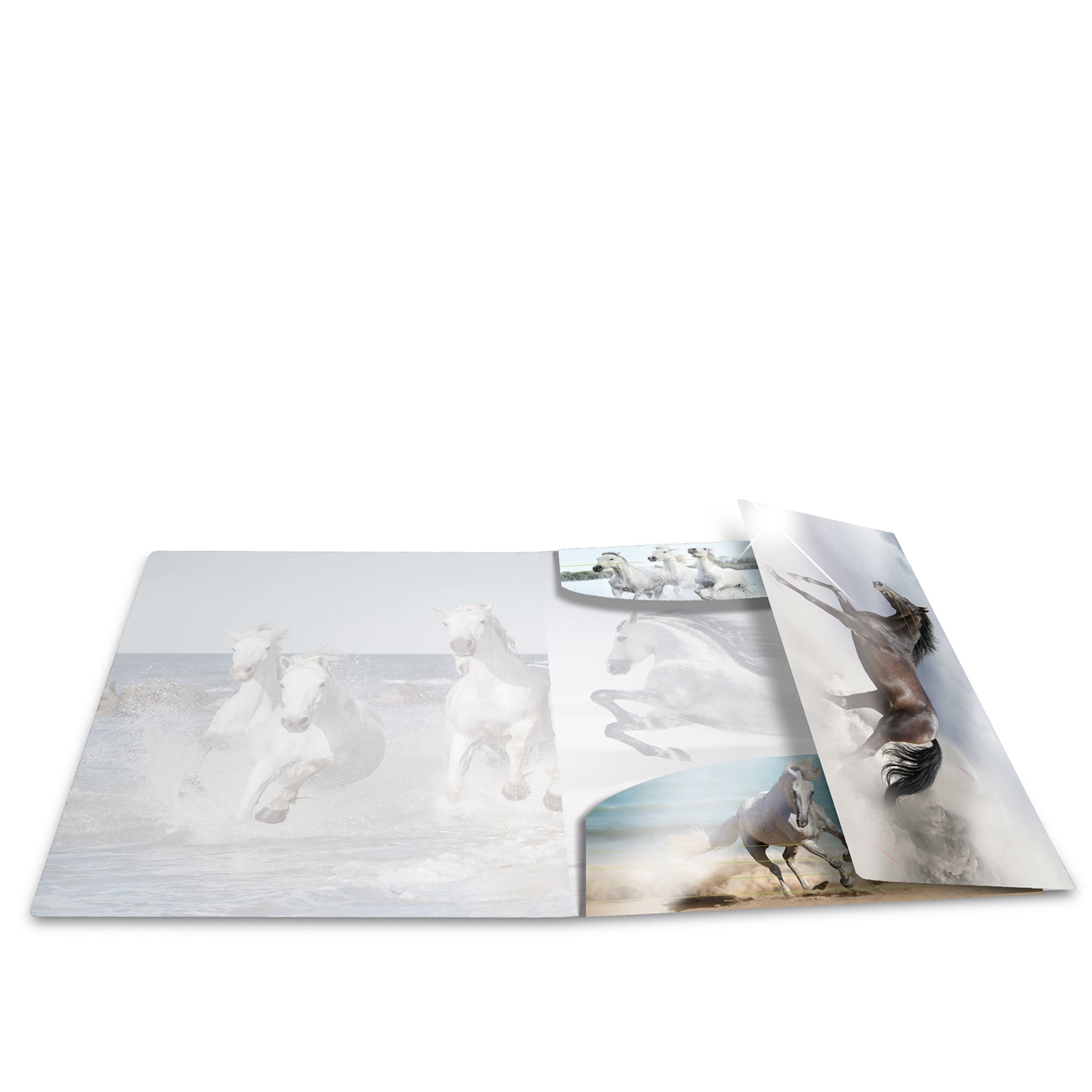 Carpeta Herma 19329 Polipropileno (Pp) Multicolor A4