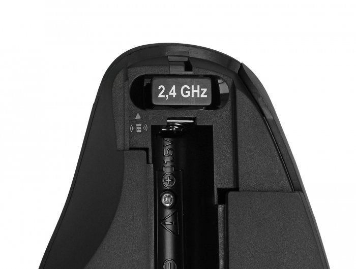 Delock Ergonomische Usb Raton - Kabellos