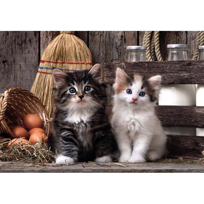 Puzzle Lovely Kittens High Quality 1000pzs