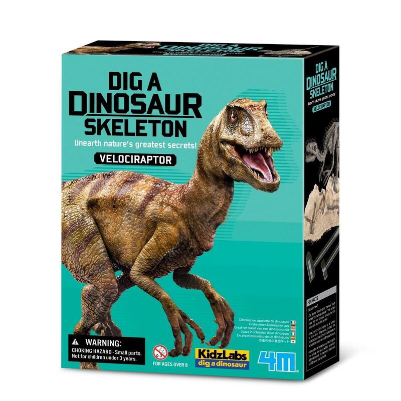 4m Dino Skeleton - Velociraptor