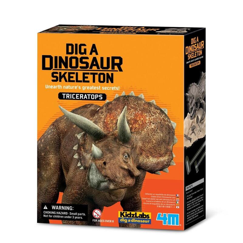 4m Excavation - Triceratops