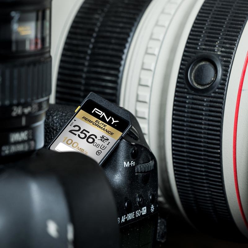 Sdxc 256gb Elite Perf. Class10 Uhs-1 U3 R 100mb/S W 75mb/S