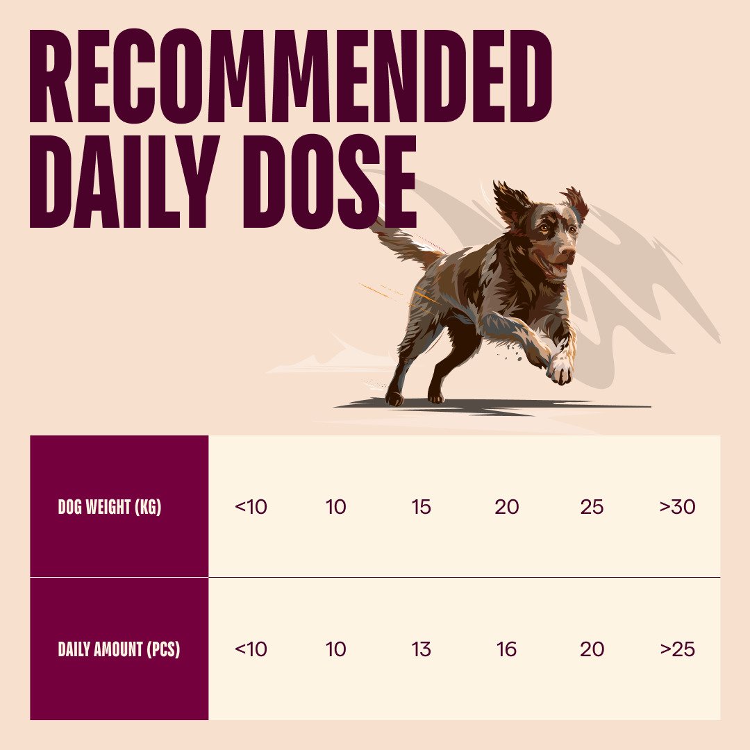 Carnilove Dog Soft Snack Salmon With Thyme Small Bite 200 G