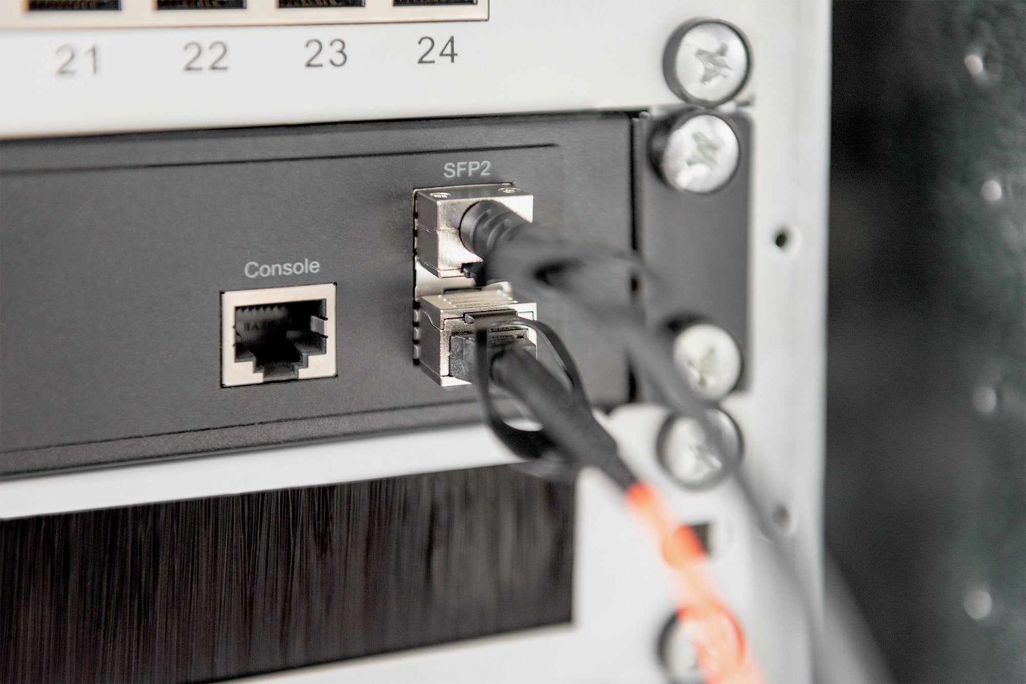 Digitus Cable Sfp+ 10g Dac 5m Negro, 5 M, Sfp+, Sfp+