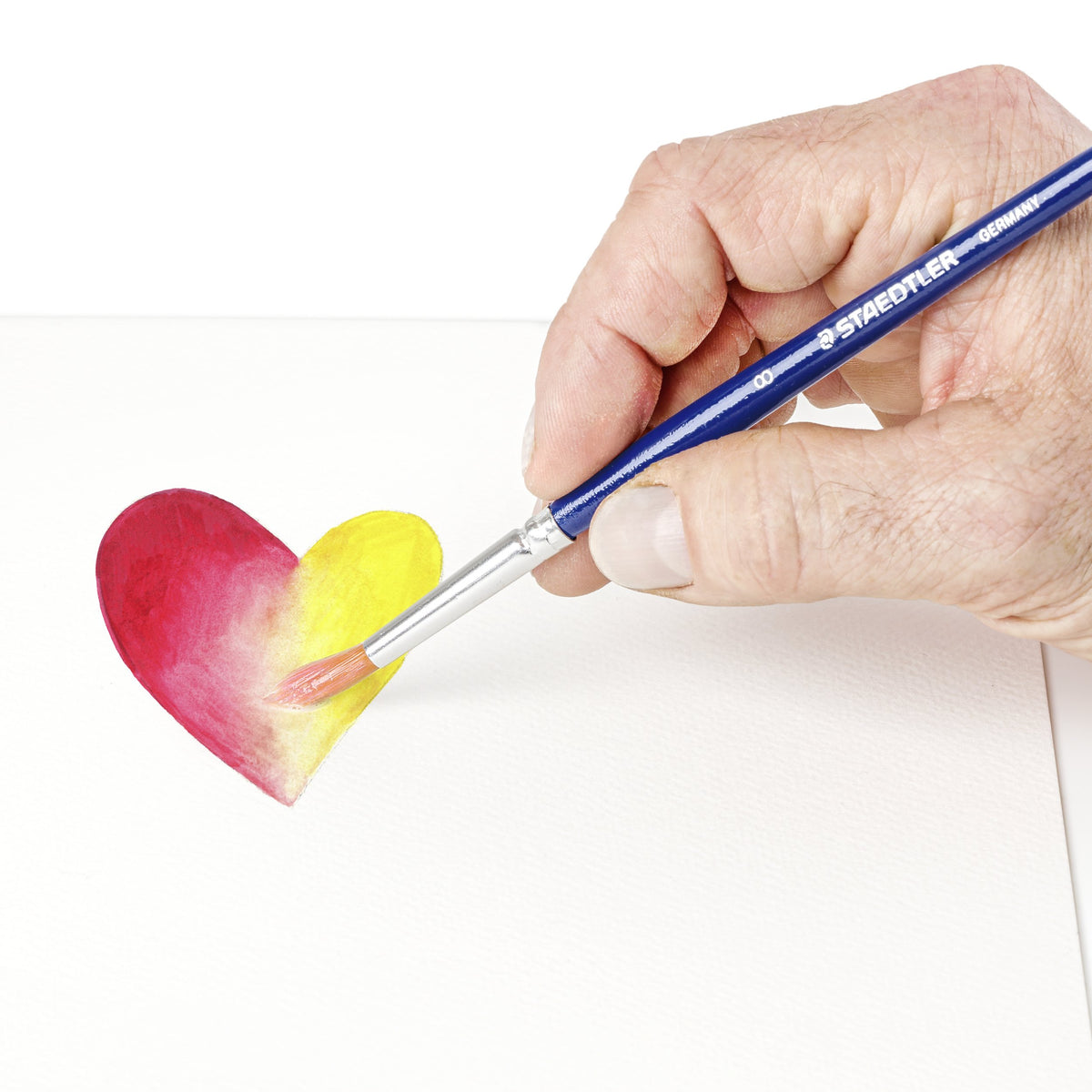 EAN 4007817153291 - Staedtler 893 diluyente y aditivo para pinturas 50 ml imagen 4