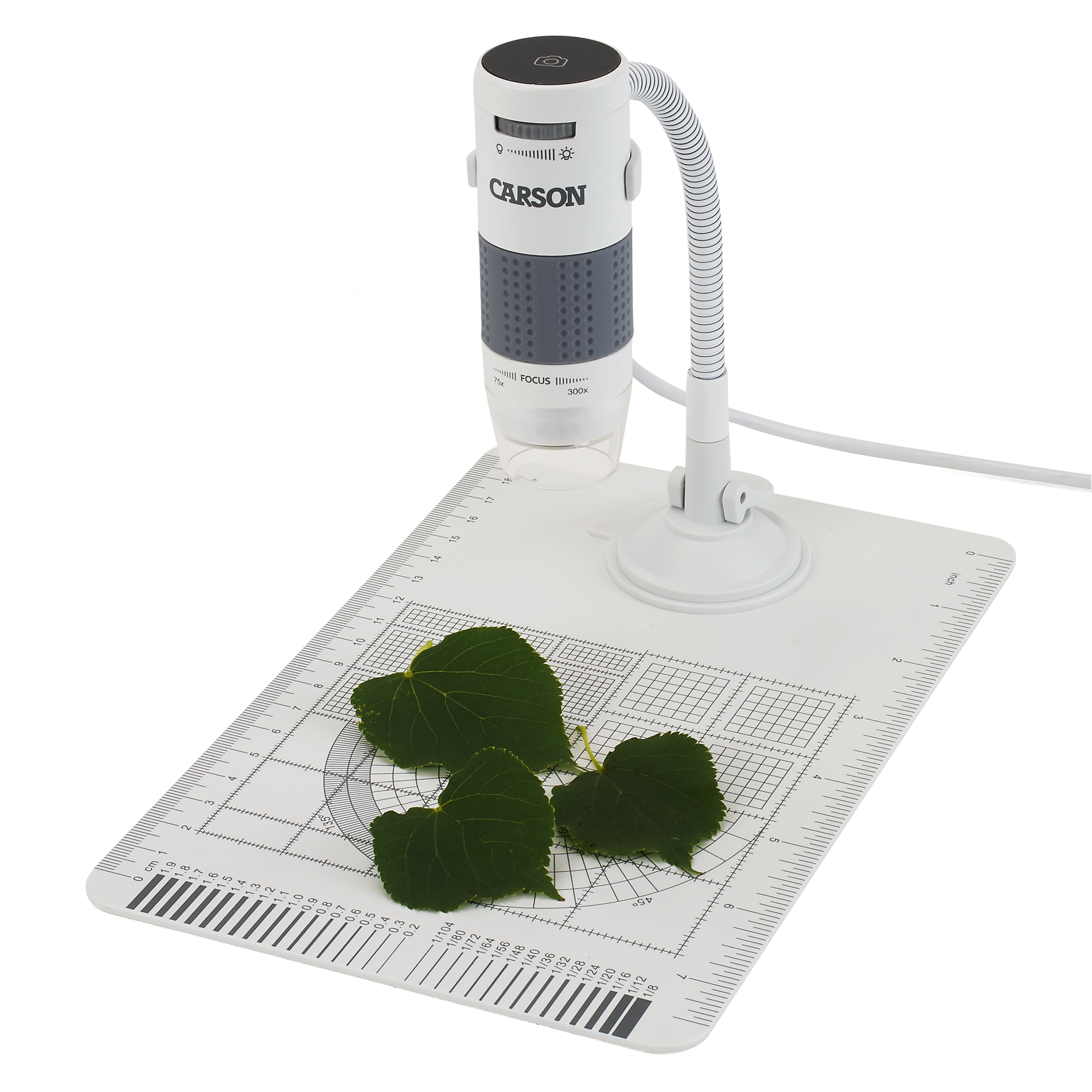Carson Eflex Microscopio Digital 300x