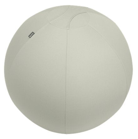 EAN 4002432134762 - Leitz Ergo pelota de ejercicios 65 cm Gris De tamaño completo imagen 1