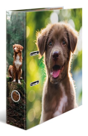 Herma Ordner A4 Karton Hund