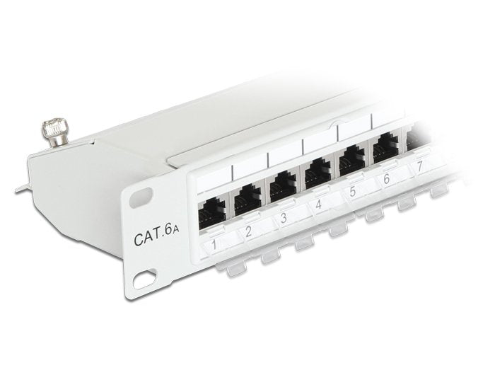 Delock Patchpanel 19" 24 Puertos Cat.6a Gris