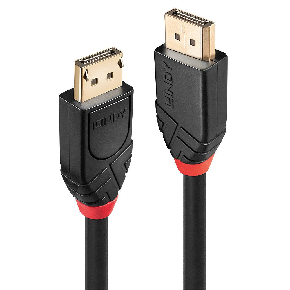 Lindy 41078 Cable Displayport 10 M Negro