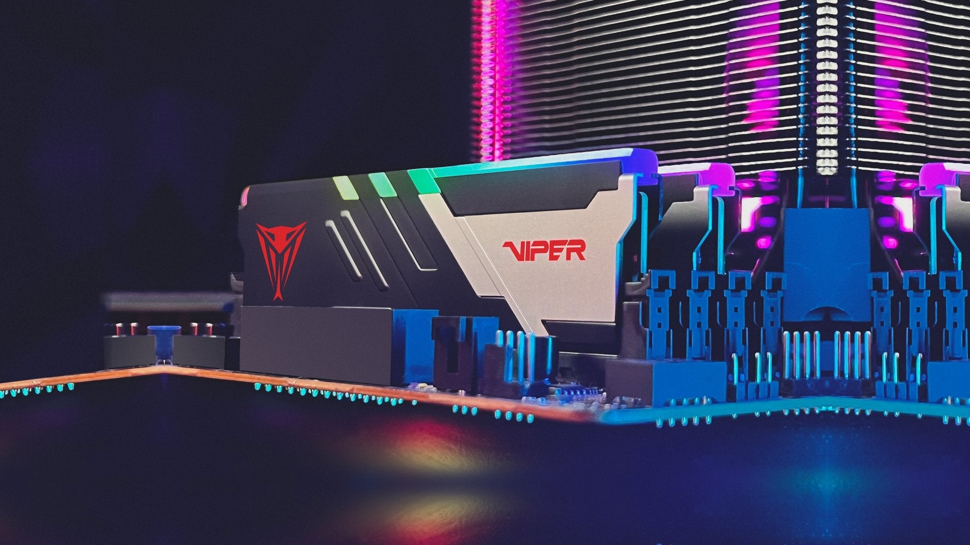 EAN 4711378428209 - Patriot Memory Viper Venom módulo de memoria 64 GB 2 x 32 GB DDR5 6000 MT/s ECC imagen 5