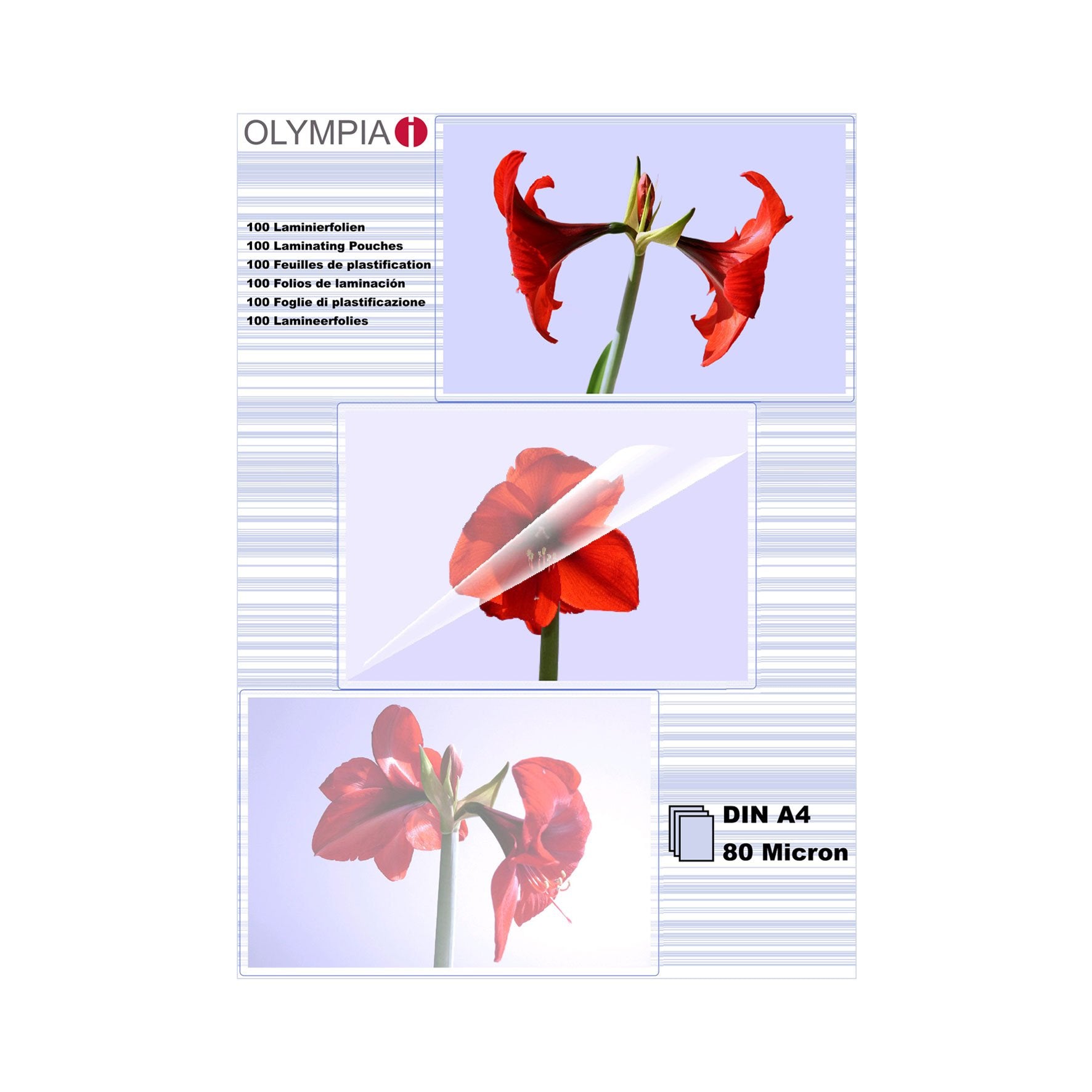 EAN 4030152091669 - Olympia 1x100 DIN A4 80 micron plastificador 100 pieza(s) imagen 1