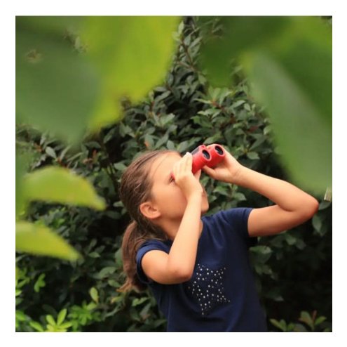 Kodak Binocular Bcs100 8x21 Red