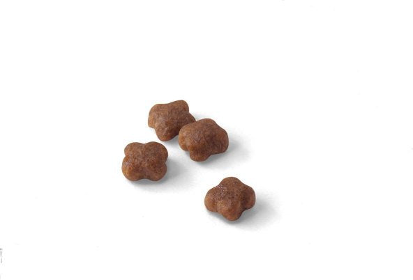 EAN 3182550707312 - Royal Canin Mother & Babycat alimento seco para gatos 2 kg imagen 2