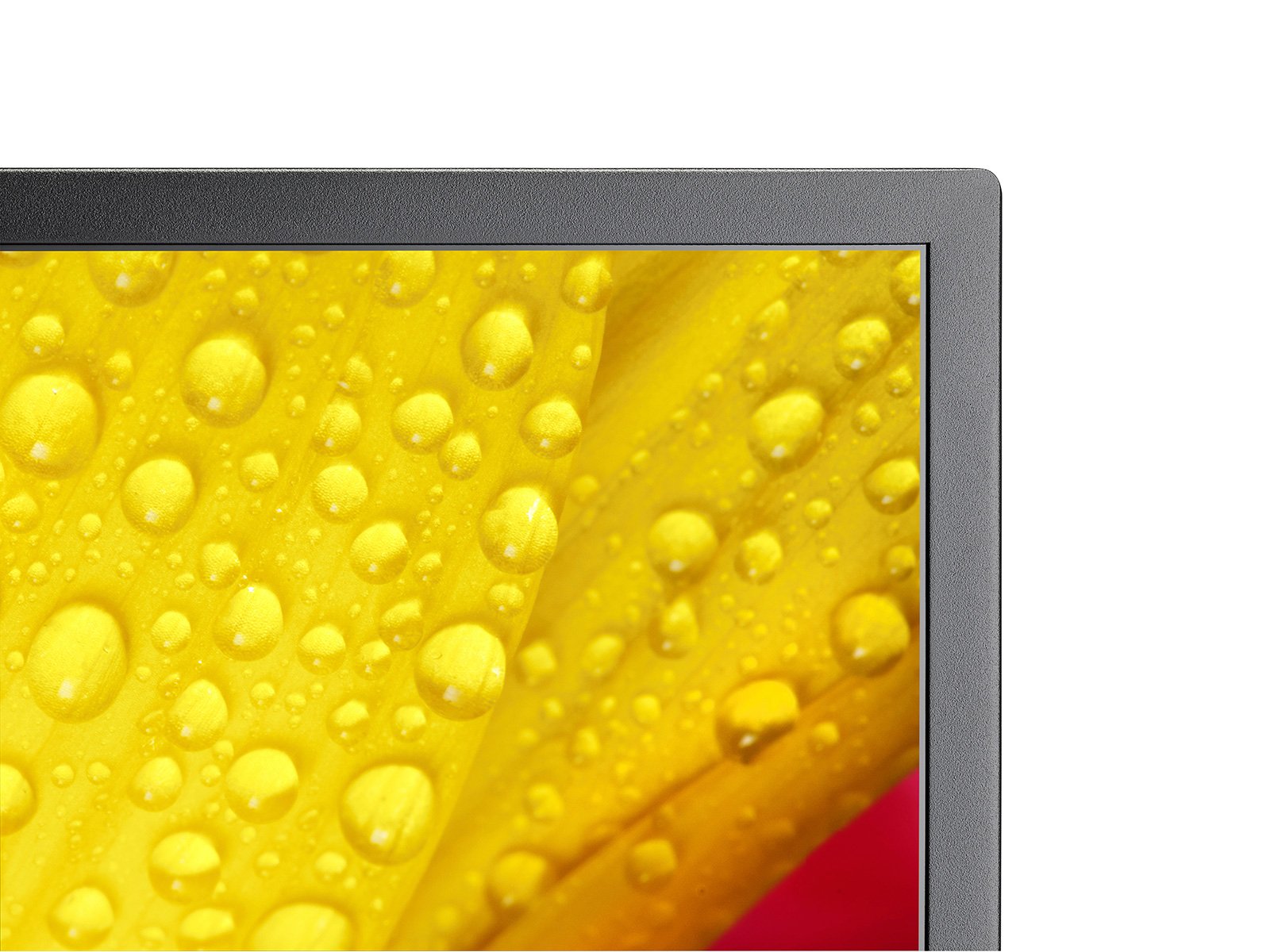 Monitor Nec - 43' Ultra High Definition Commercial Display