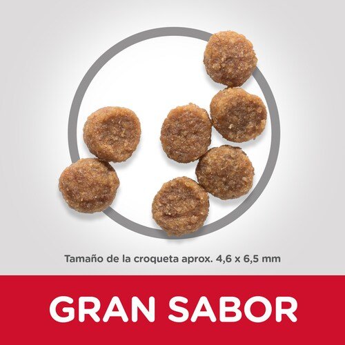Alimento Seco Para Perros Hill'S Science Plan Puppy Small & Mini 3 Kg