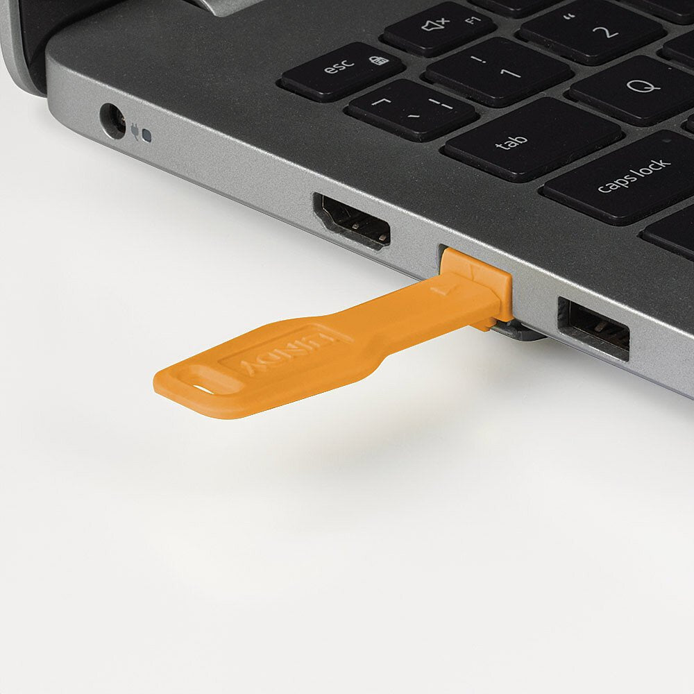 Lindy Cerradura De Puerto Rj45 (10 Piezas) Con Llave Naranja, Código Naranja 47879