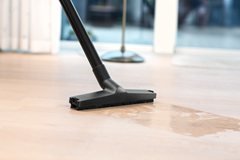 Aspirador Industrial Nilfisk Buddy Ii 12 18451119