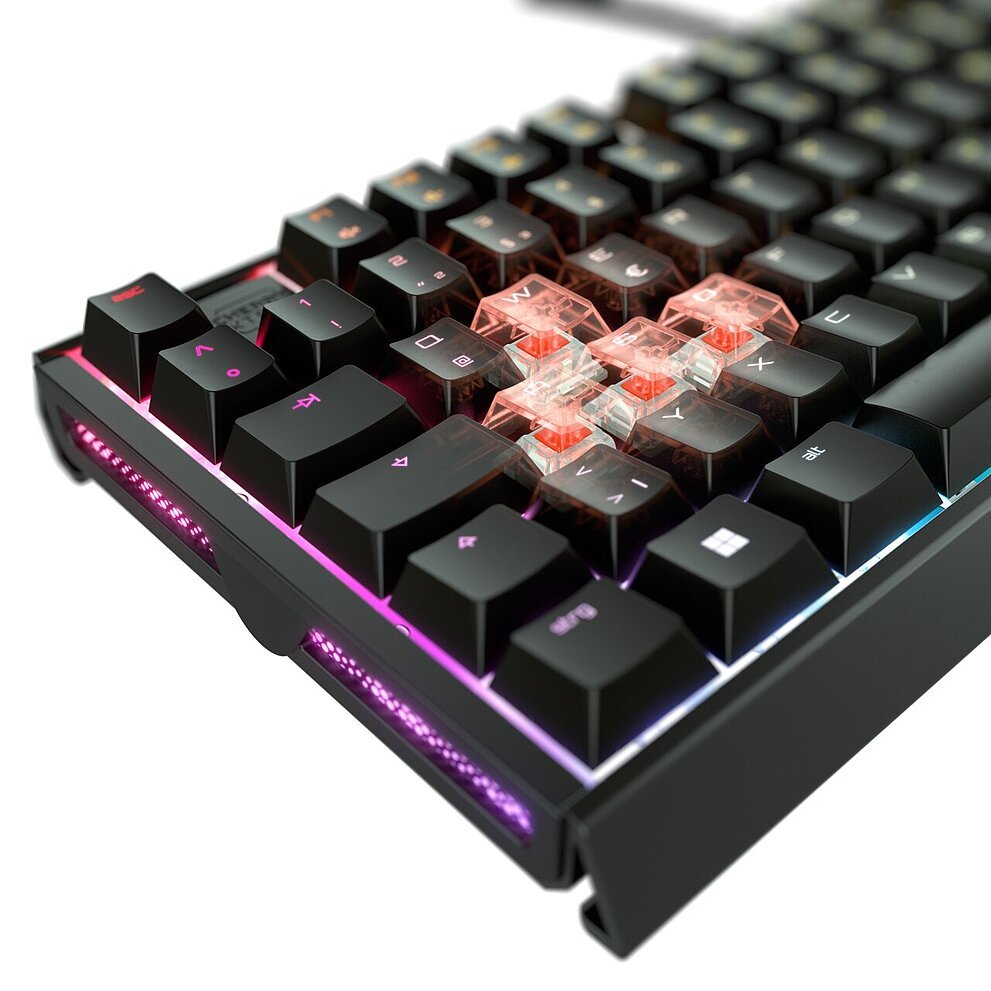 EAN 4025112120152 - CHERRY XTRFY MX 3.1 RGB teclado Juego USB QWERTY Español Negro imagen 5
