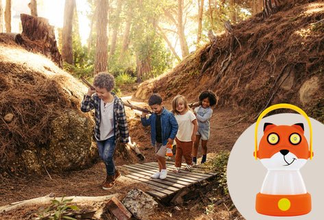 Schwaiger Calf100 511 Linterna De Camping Linterna De Camping A Pilas