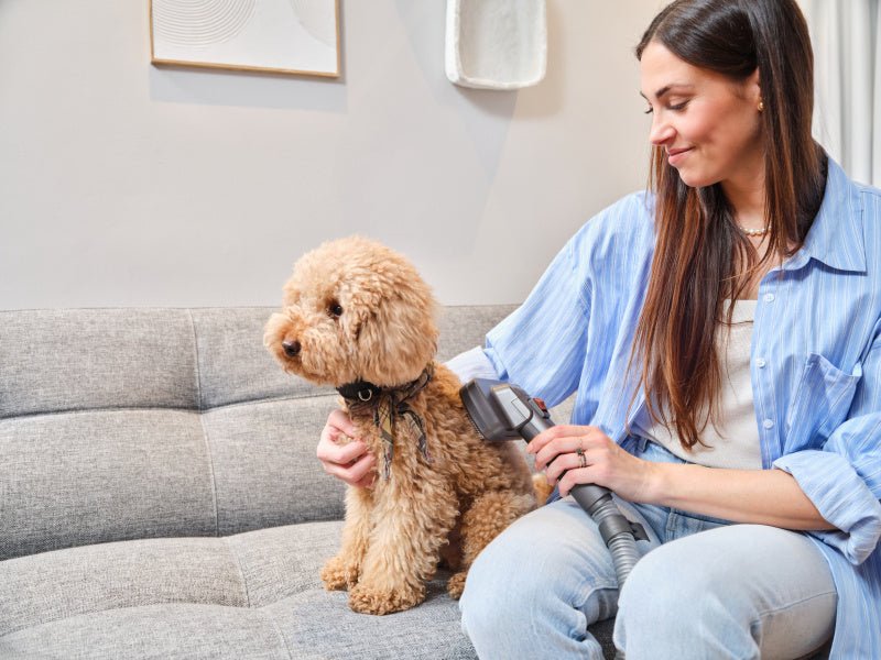 Aspiradora Eta Eta524790000 Terier De Mano, Inalámbrica, Autonomía 80 Min., Depósito De Polvo 0,5 L, Negra