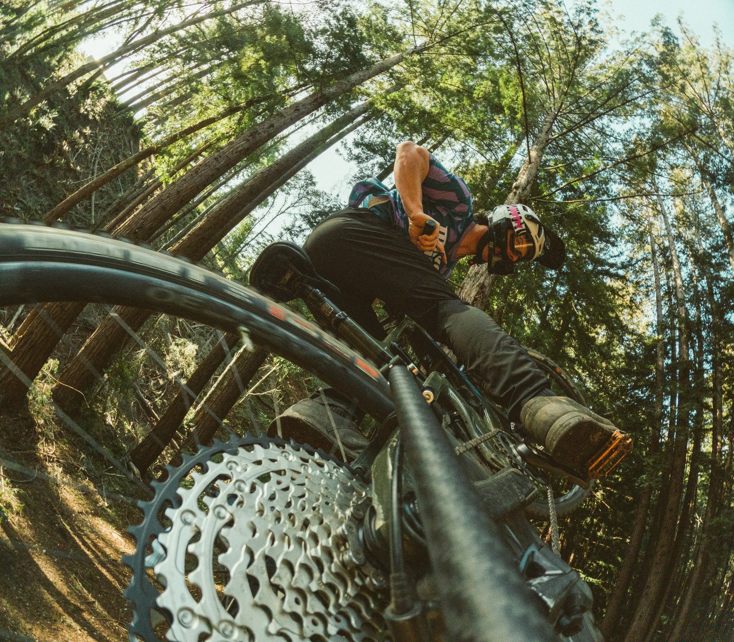 EAN 0818279029642 - GoPro AEXTM-011 accesorio para cámara de deportes de acción Extend pole imagen 8