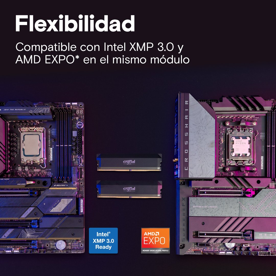 EAN 0649528945709 - Crucial Pro CP2K32G64C40U5B módulo de memoria 64 GB 2 x 32 GB DDR5 288-pin DIMM imagen 4